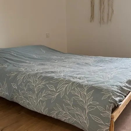 Le Fabuleux 3 Bedrooms Air Conditioning 6 People Apartmán Perpignan
